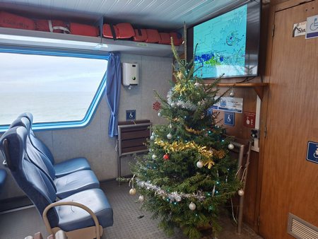 sapin sur bateau ile de sein